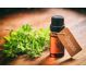 Ulei esential oregano 100% pur 10ml - FARES