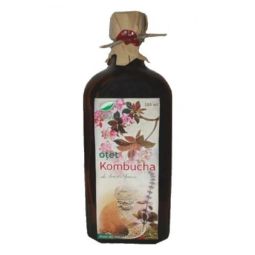 Otet kombucha 250ml - MEDICA