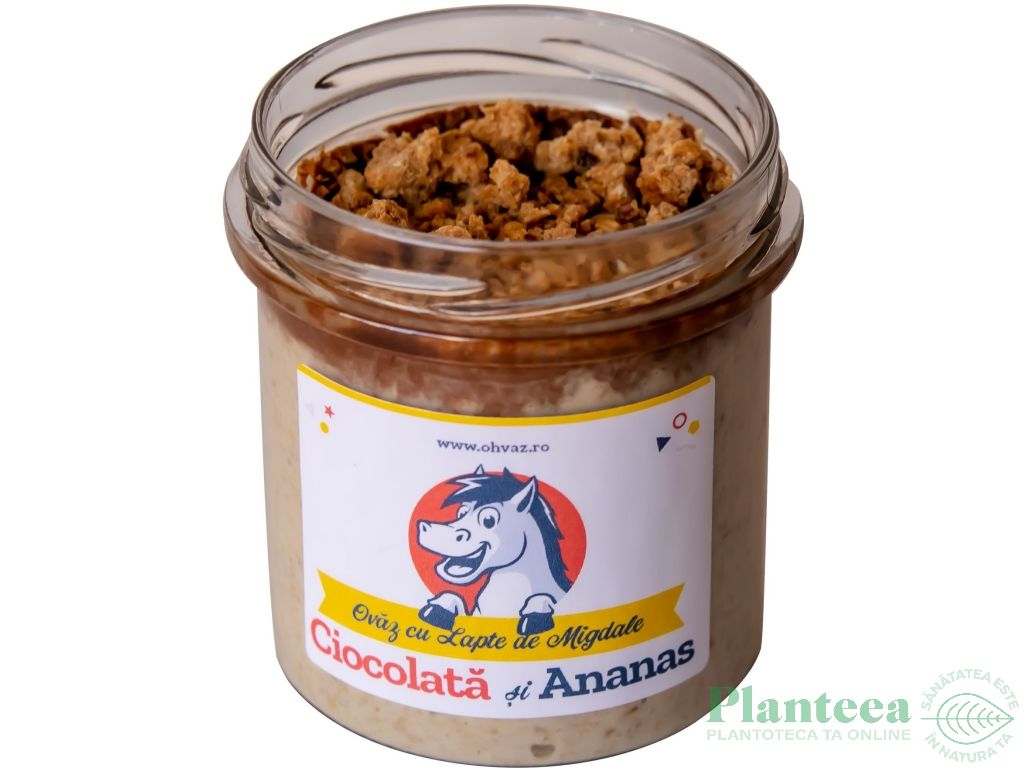 Budinca ovaz ciocolata ananas 300g - OHVAZ