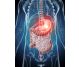 Remediu apicol Pancreatic 225g - APICOL SCIENCE