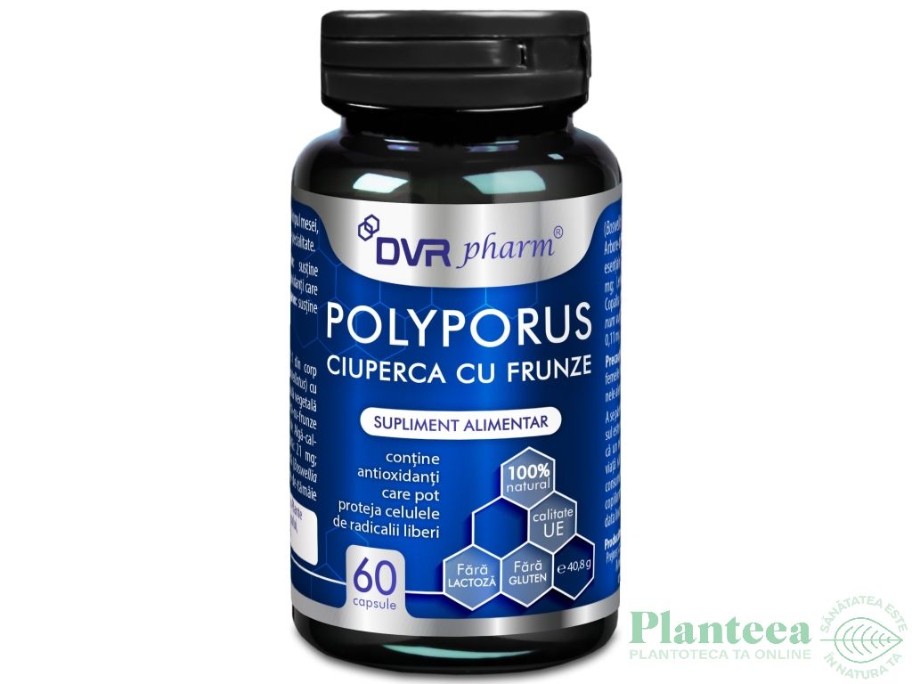 Polyporus Ciuperca cu Frunze 60cps - DVR PHARM