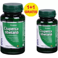 Pachet Ciuperca tibetana 60+30cps - DVR PHARM