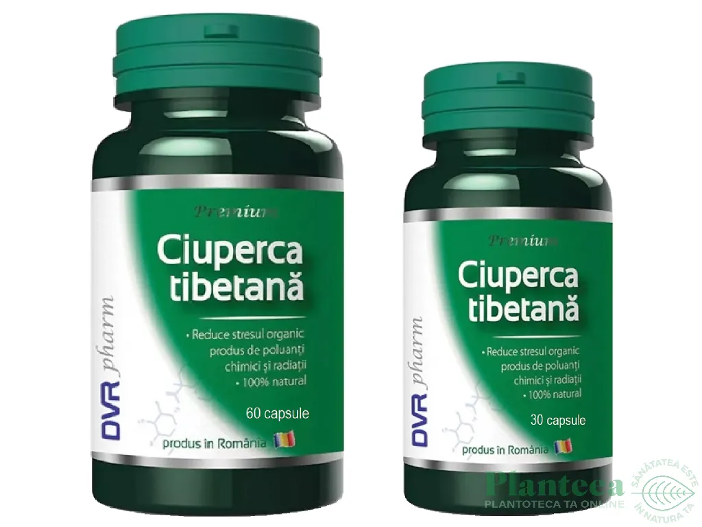 Pachet Ciuperca tibetana 60+30cps - DVR PHARM