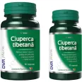 Pachet Ciuperca tibetana 60+30cps - DVR PHARM