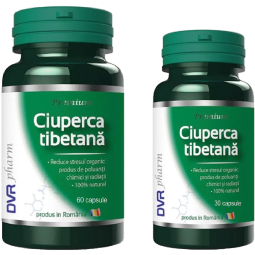 Pachet Ciuperca tibetana 60+30cps - DVR PHARM