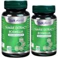 Pachet Tamaie extract [boswellia] 60+30cps - DVR PHARM