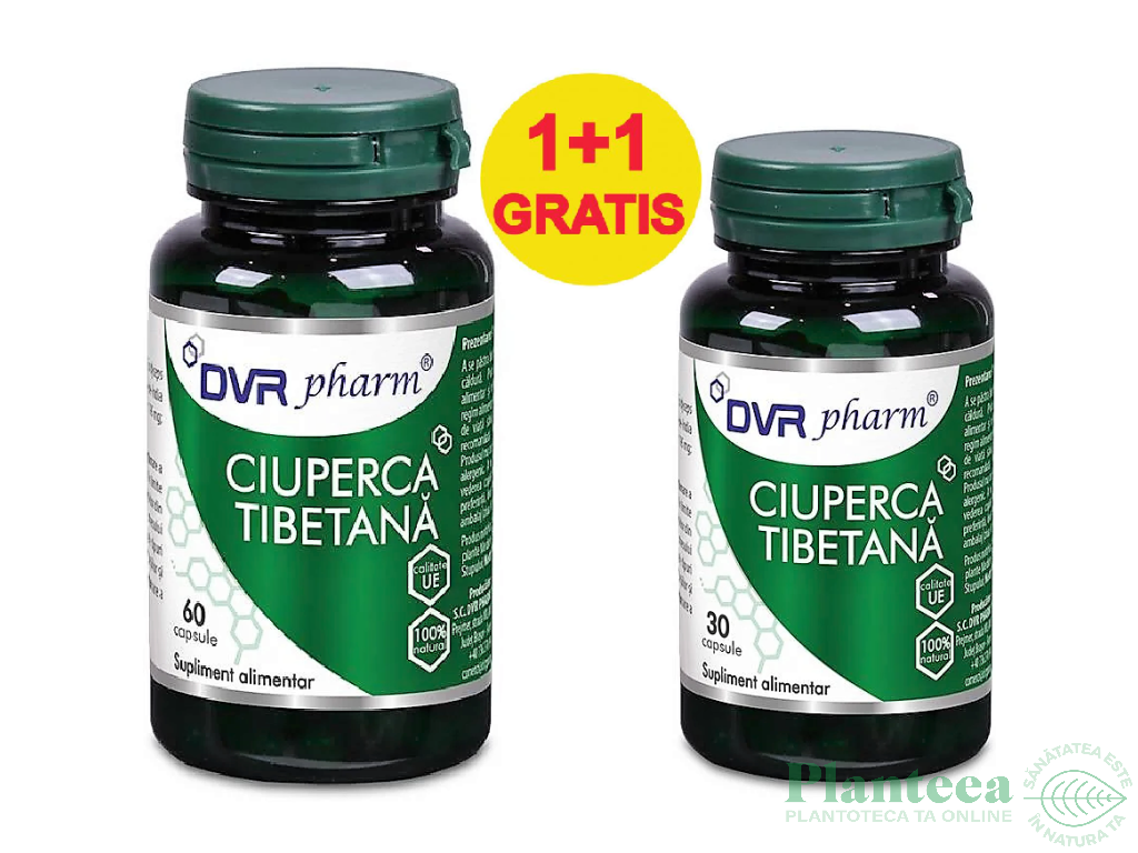 Pachet Ciuperca tibetana 60+30cps - DVR PHARM