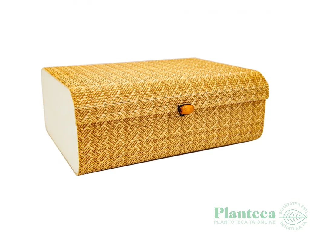 Cutie bambus pt cadou bej 1b - BAMBOO