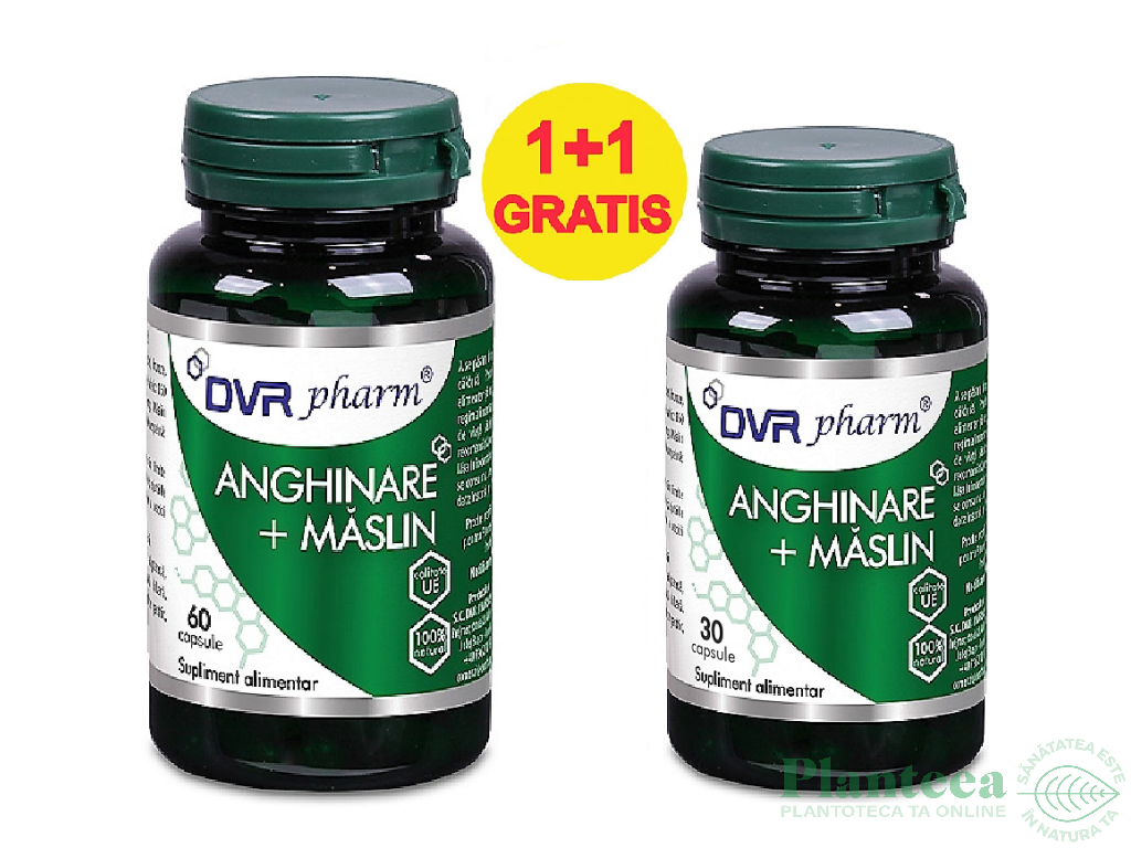 Pachet Anghinare Maslin 400mg 60+30cps - DVR PHARM