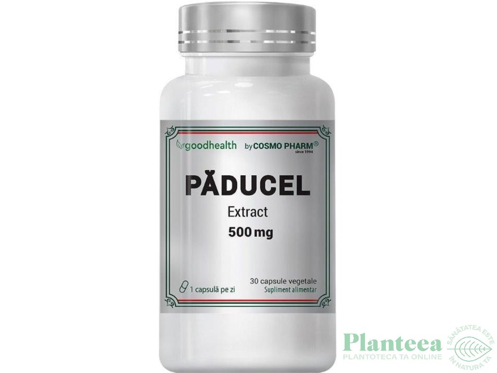 Paducel extract 500mg 30cps - COSMO PHARM