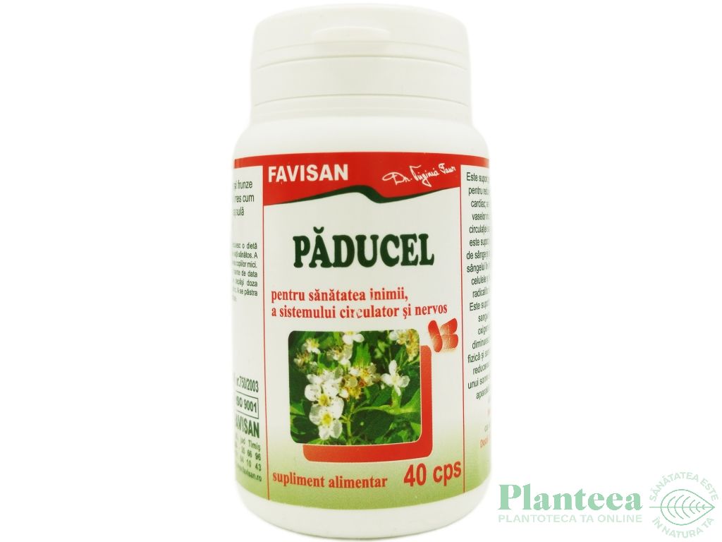 Paducel 300mg 40cps - FAVISAN