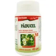Paducel 300mg 40cps - FAVISAN
