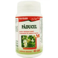 Paducel 300mg 40cps - FAVISAN
