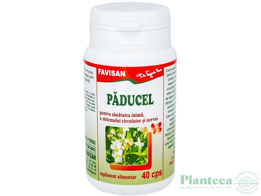 Paducel 300mg 40cps - FAVISAN