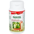 Paducel 300mg 40cps - FAVISAN