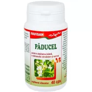 Paducel 300mg 40cps - FAVISAN