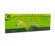 Panax ginseng 10fl - YONG KANG