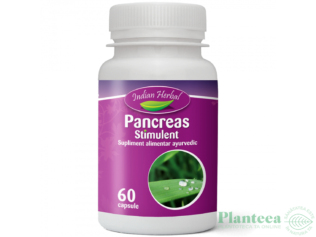 Pancreas Stimulent 60cps - INDIAN HERBAL