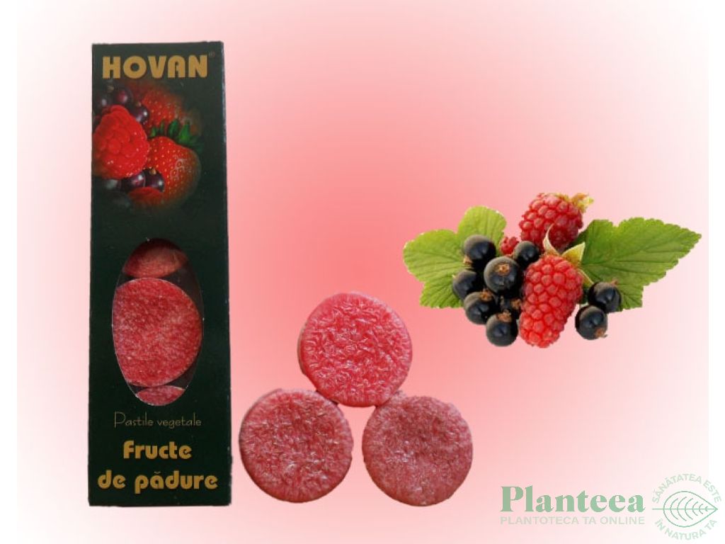 Lumanari pastila parfumate fructe padure 4b - HOVAN