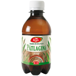 Sirop patlagina clasic 250ml - FARES