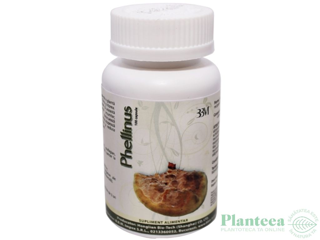 Phellinus 100cps - HONGLIAN BIOTECH