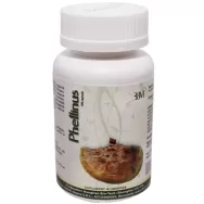 Phellinus 100cps - HONGLIAN BIOTECH