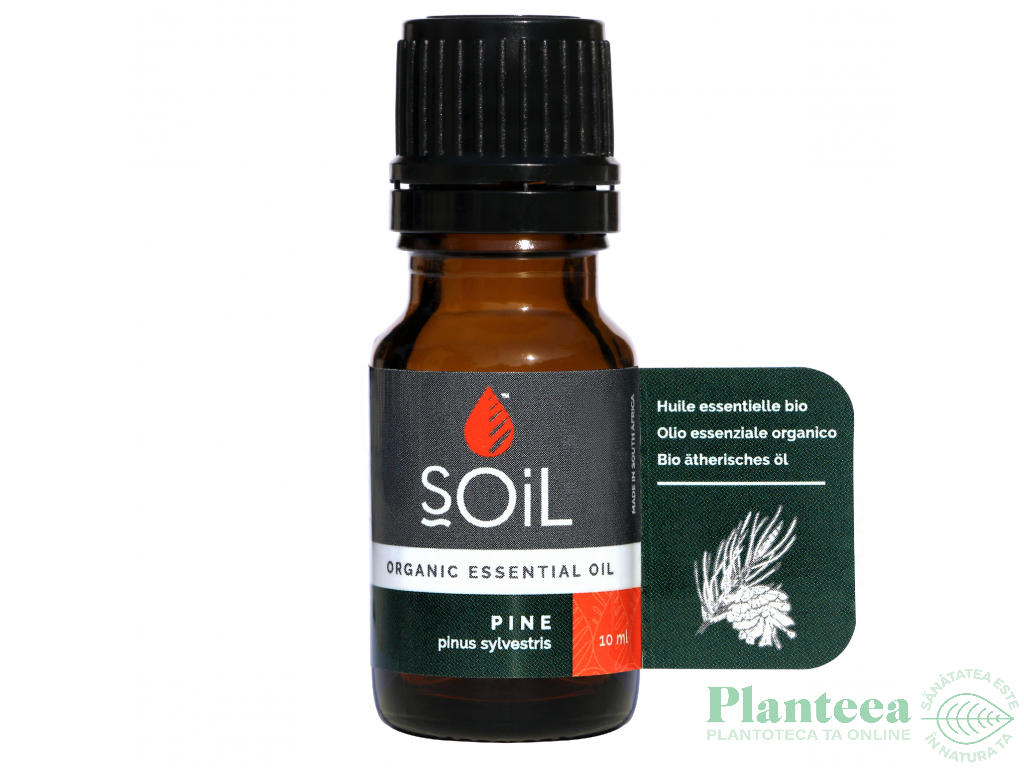 Ulei esential pin organic 10ml - SOiL