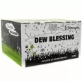 Difuzor ultrasonic aromaterapie multicolor Blessing Dew lemn natur cu telecomanda 550ml - ECOTERAPIA