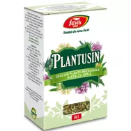 Ceai Plantusin [AntiBronsitic] 20dz - FARES