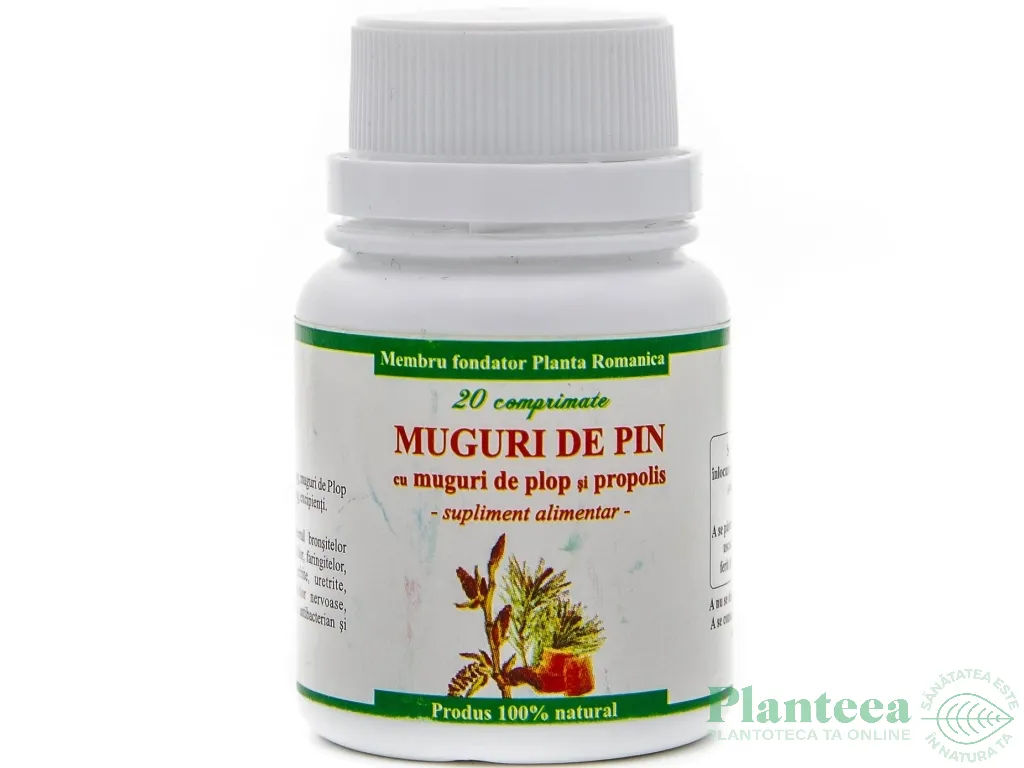 Pin plop propolis 20cp - ELIDOR
