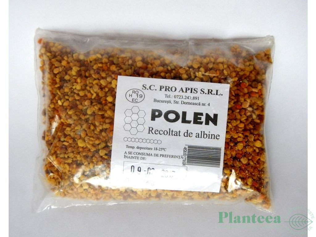 Polen uscat granule {pg}100g - PROAPIS