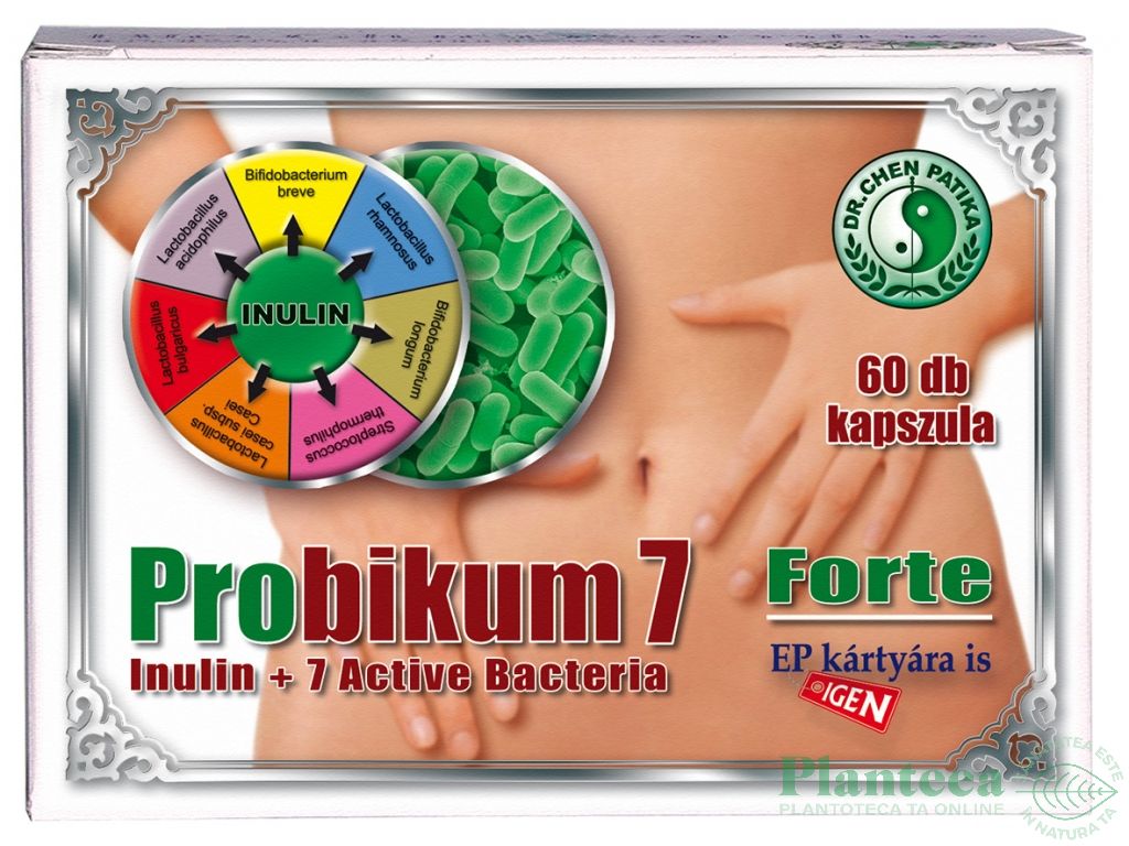 Probioticum forte 60cps - DR CHEN PATIKA