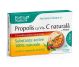 Propolis C miere 30cp - ROTTA NATURA