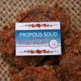 Propolis solid 20g - PRISACA