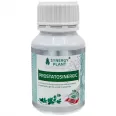 ProstatoSinergic 180cps - SYNERGY PLANT