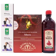 Protocol Silueta pt slabit 4b - PLANTEEA