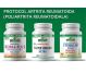 Protocol intensiv Artrita Reumatoida [pt poliartrita reumatoidala] kit 3suplimente 4b - PROVITA