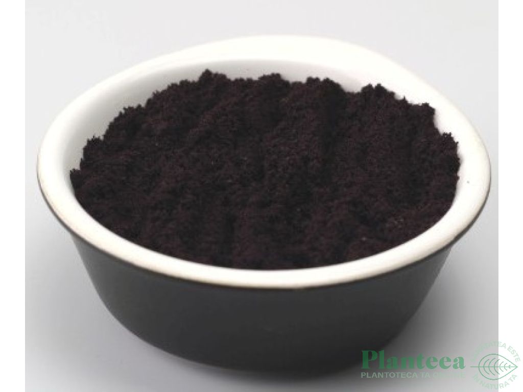 Pulbere acai 60g - EVERTRUST