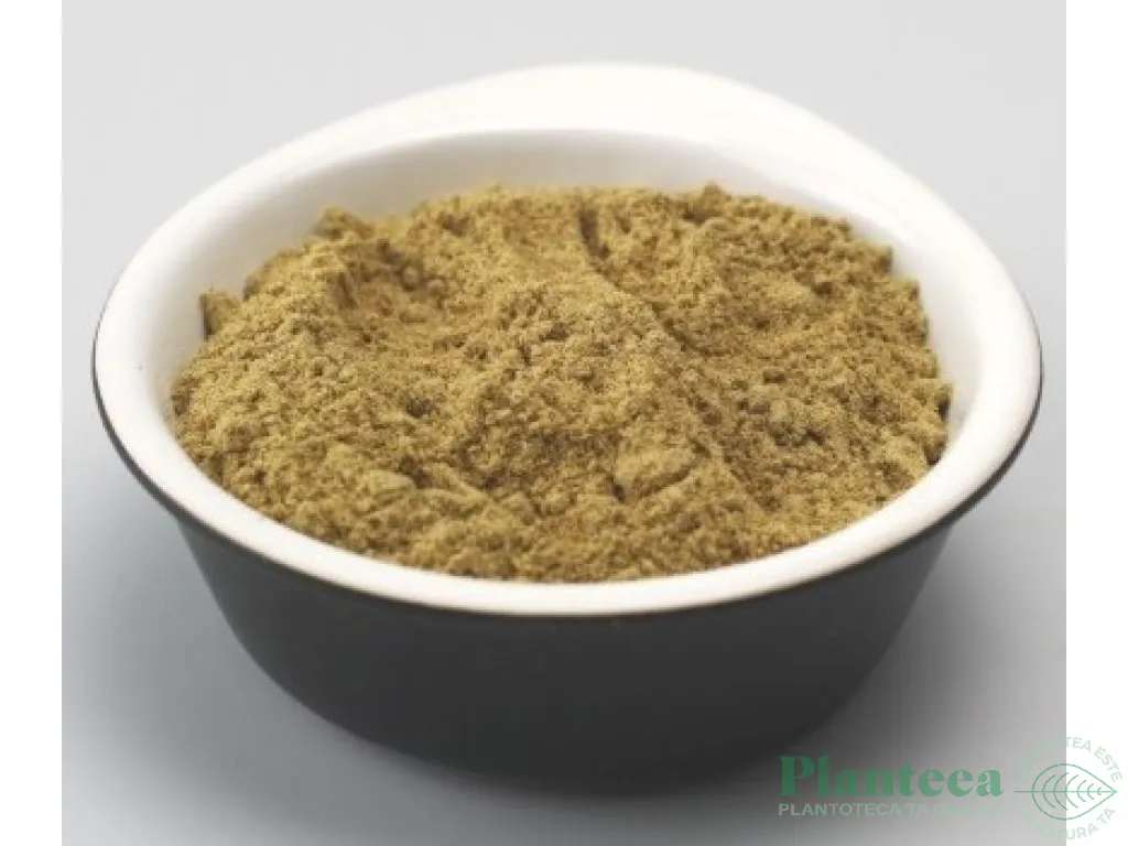 Pulbere atractylodes 125g - EVERTRUST