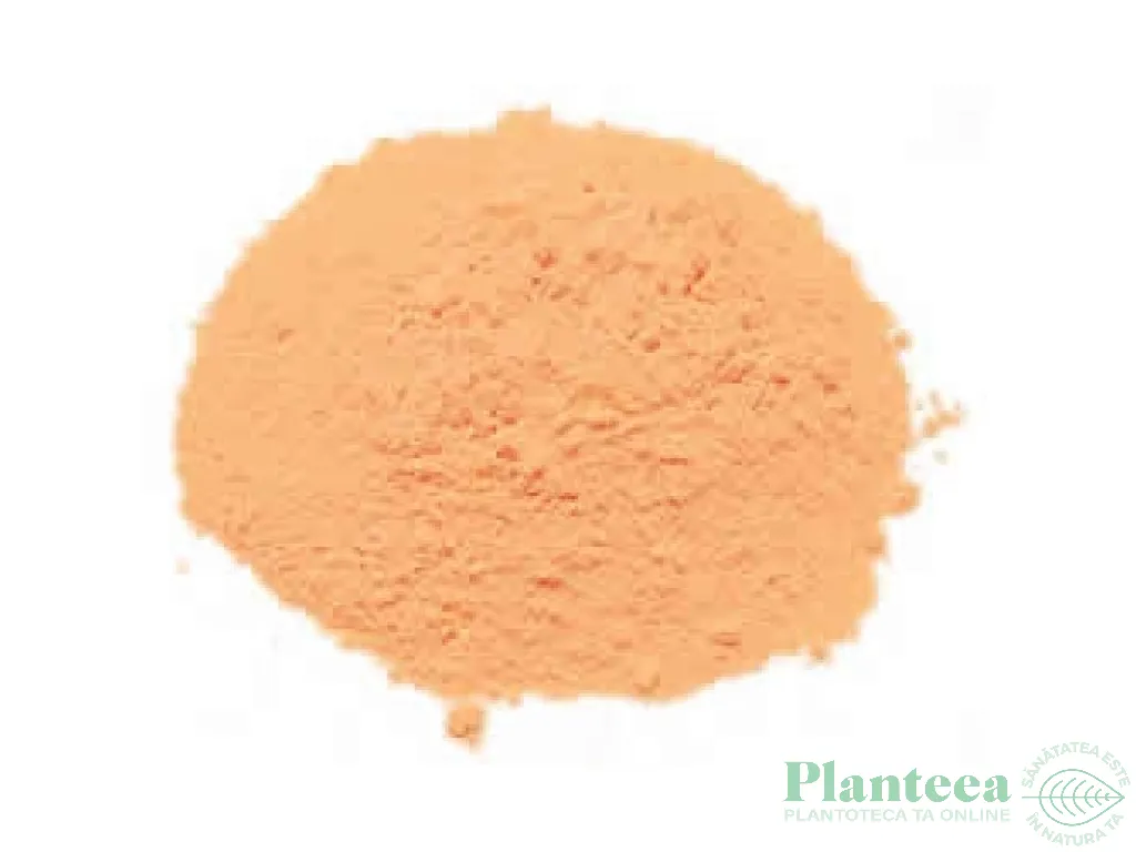 Pulbere camu camu Peru eco 50g - PARADISUL VERDE