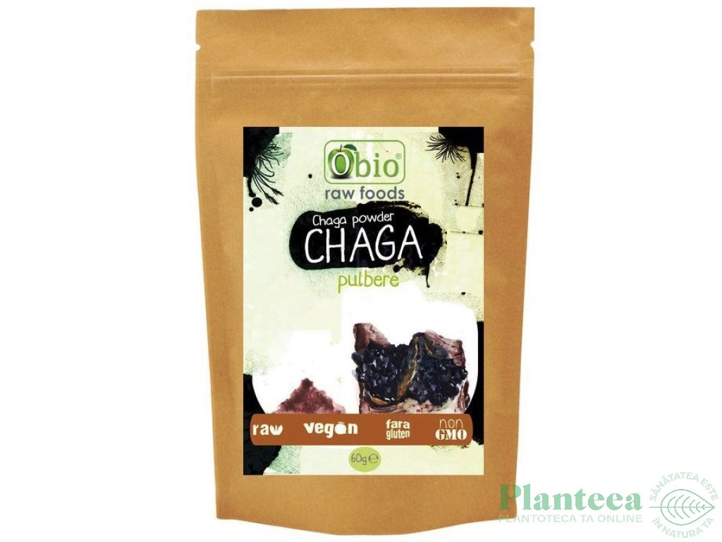 Pulbere chaga eco 60g - OBIO