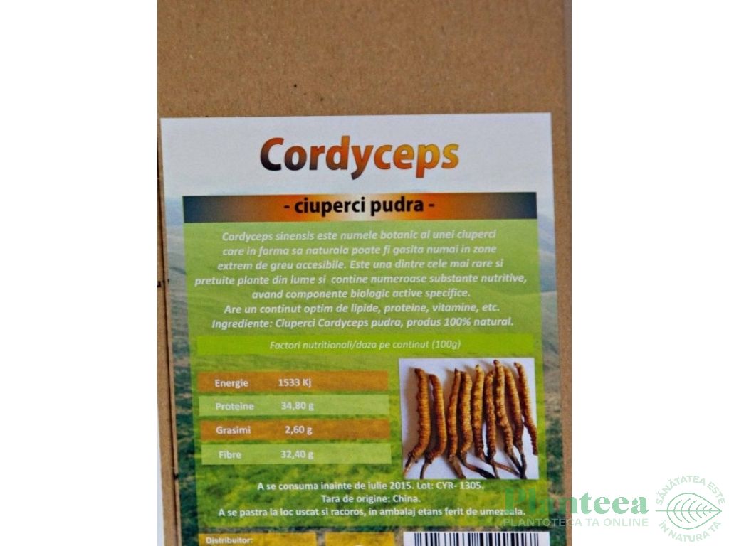 Pulbere cordyceps 100g - DECO ITALIA