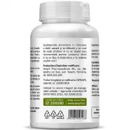 Quercetina 500mg 90cps - ZENYTH