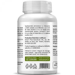 Quercetina 500mg 90cps - ZENYTH