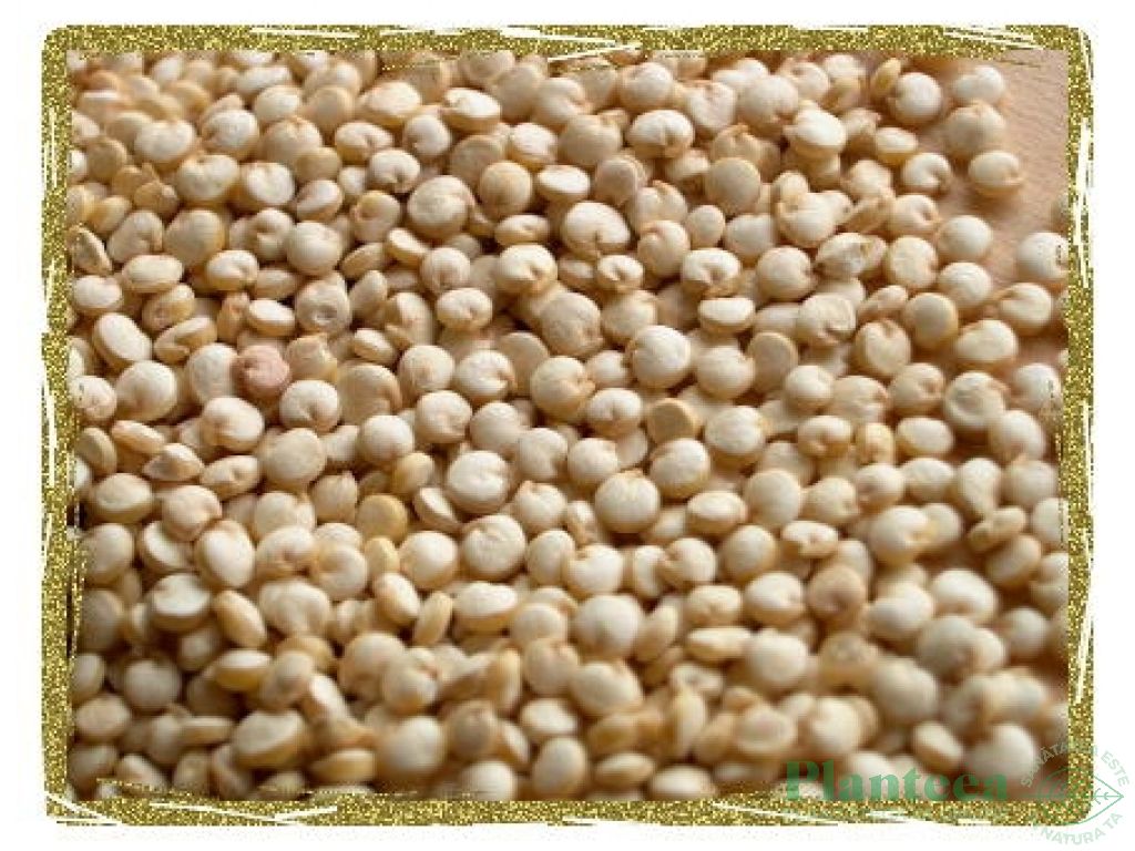 Quinoa alba boabe eco 500g - MY BIO
