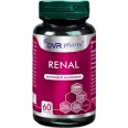 Renal 1x60cps - DVR PHARM