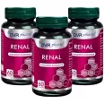 Pachet Renal 3x60cps - DVR PHARM