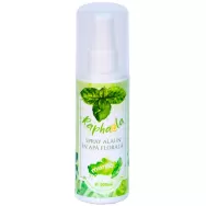 Deodorant spray alaun apa florala menta 100ml - SANTO RAPHAEL