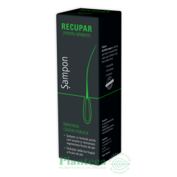 Sampon imp caderii parului Recupar 150ml - DR THEISS