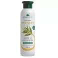 Sampon seboreglator salcie alba 250ml - COSMETIC PLANT